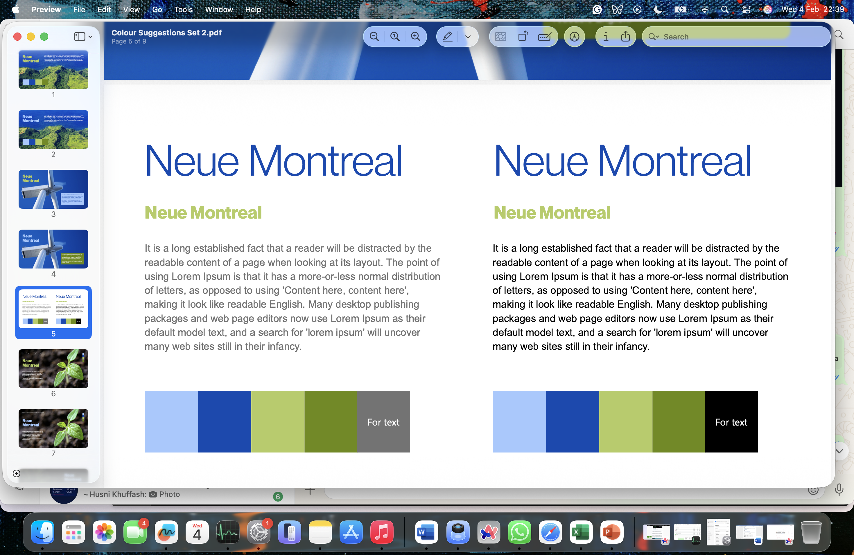 RubiCr SPM dashboard showing strategic portfolio management interface with project execution metrics and resource allocation charts